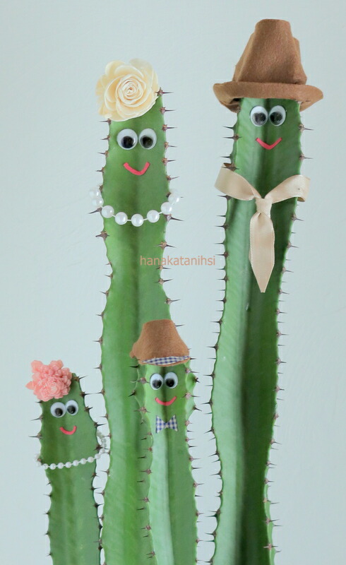 癒しの贈り物 誕生日 記念日 お見舞い 歓迎会 結婚祝い お祝い 花 観葉植物 多肉植物 ダイウンカク サボテン ラッピング無料 観葉植物の定番 観葉植物 カスタマイズ 多肉植物 円満ファミリーサボテン 花 サボテン 枯れない花 ラッピング無料 観葉植物 多肉