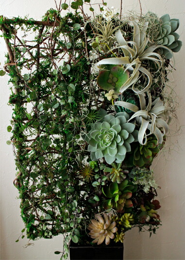 楽天市場 多肉植物のアートフィシャル ブラックフラワーベース 花屋 花 造花 プリザーブドフラワー ブリザードフラワー 観葉植物 鉢 枯れない花 花束 生花 アレンジメント 生け花 ギフト 京都花屋 多肉 サボテン アートフィシャル 花かたにし