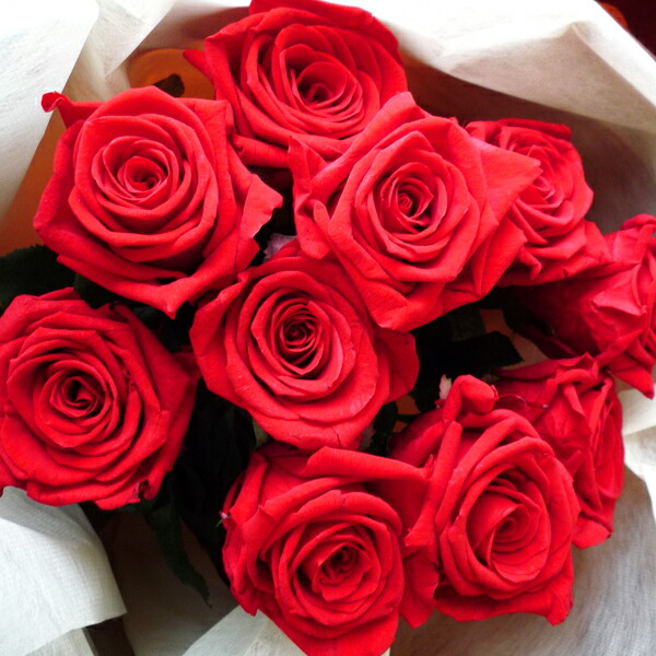 お手入れ不要 枯れない花 大輪プリザーブドフラワー ローズ 花束 10本 花屋 花 造花 サボテン プリザーブド 観葉植物 多肉植物 鉢 ブリザードフラワー フェイクフラワー 敬老の日 植物 花束 ギフト 誕生日 還暦 プレゼント Prescriptionpillsonline Is