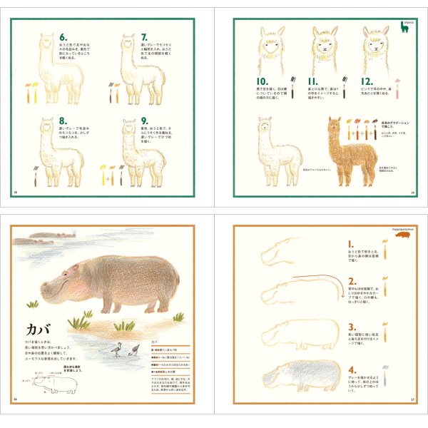 楽天市場 色えんぴつでかわいい動物 パイインターナショナル 1745 4068 ネコポス可 秋草愛 アニマル 書き方 イラスト 本 倉敷文具ｒｕｋａｒｕｋａ