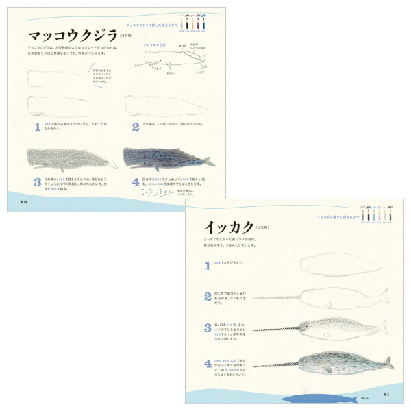 楽天市場 色えんぴつでかわいい水の生き物 パイインターナショナル 1745 4377 ネコポス可 秋草愛 動物 書き方 イラスト 本 倉敷文具ｒｕｋａｒｕｋａ