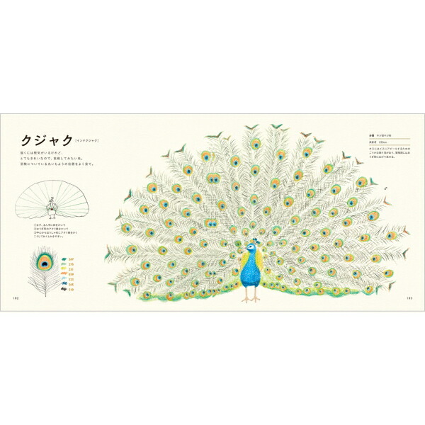 楽天市場 色えんぴつでかわいい鳥たち パイインターナショナル 1745 4636 ネコポス可 秋草愛 トリ とり 書き方 イラスト 本 おうち時間 倉敷文具ｒｕｋａｒｕｋａ