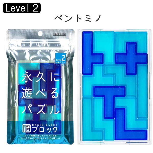 Brain Block ブレインブロック 永久に遊べるパズル ペントミノ テンヨー 411 Tbb 02 ネコポス可 脳ブロック Level2 レベル2 おうち時間