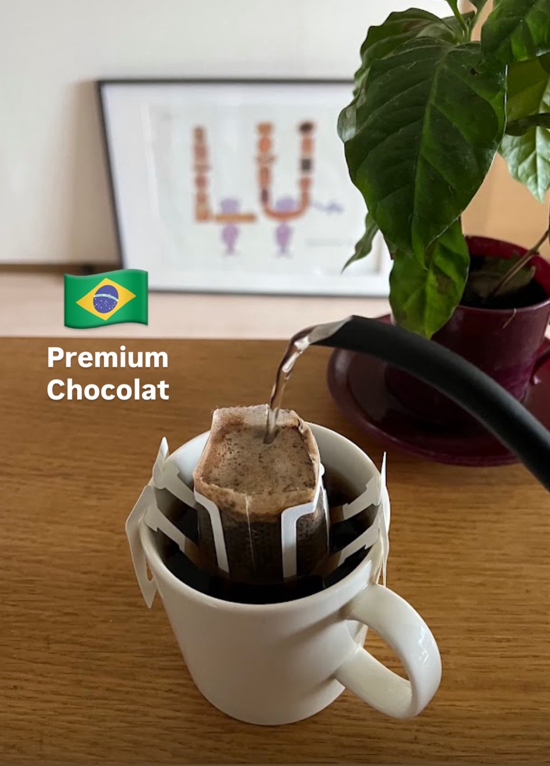 【8coffee】 ブラジル プレミアムショコラ ドリップバッグコーヒー6袋~90袋 ハチコーヒーロースト 中煎り ハイロースト 自家焙煎 直送 シングルオリジン|8coffee 店