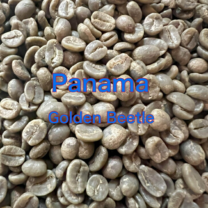 楽天市場】宅配便 コーヒー生豆 シティオ・ダ・トーレ農園 ＜内容量