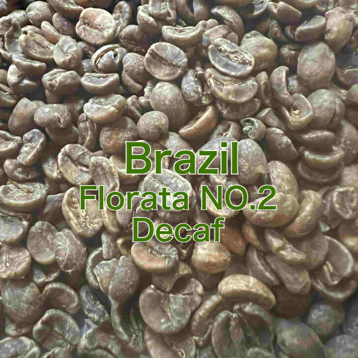 楽天市場】メール便対応 コーヒー生豆 エチオピア イルガチェフェG1