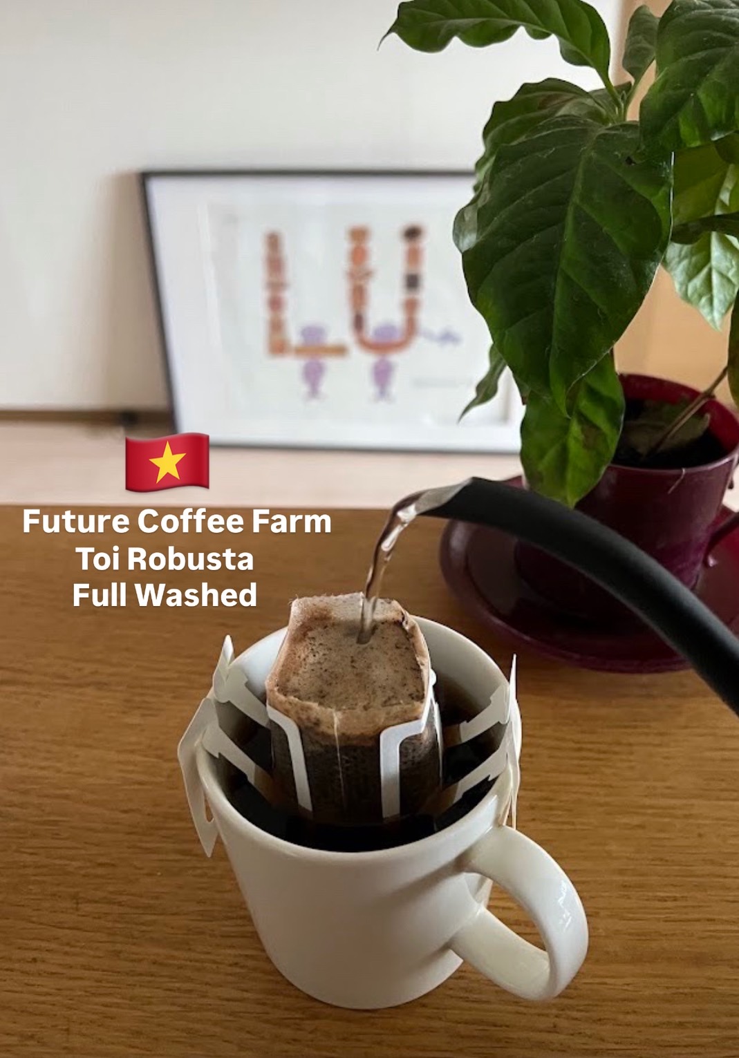 【8coffee】 ベトナム　Toiさんのロブスタ　Full-Washed　ドリップバッグコーヒー６袋～９０袋　ハチコーヒーロースト　中深煎り シティーロースト 自家焙煎 直送 シングルオリジン｜8coffee 店