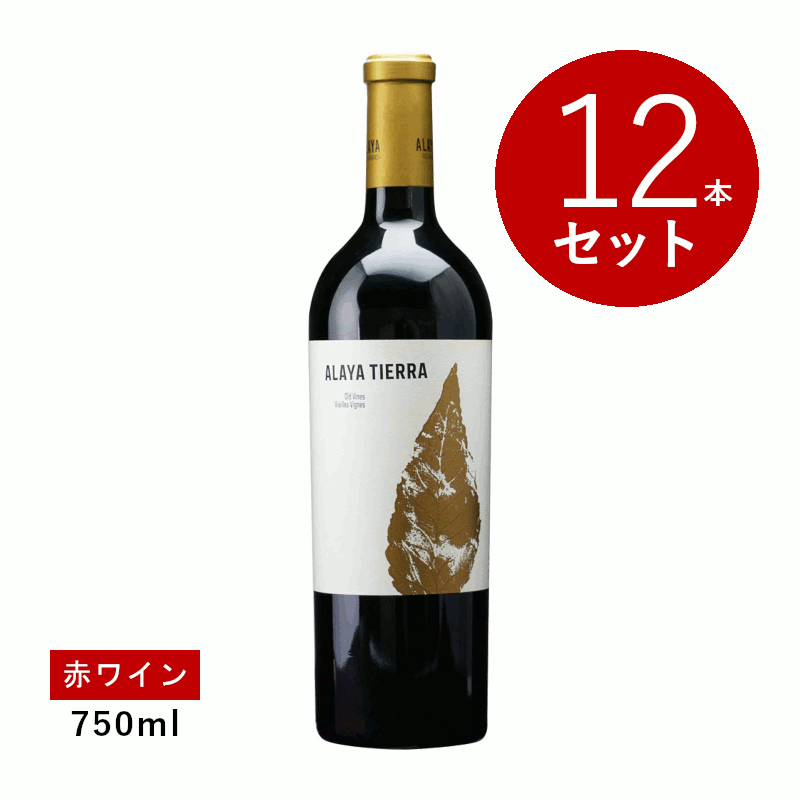【初回限定クーポンあり】【通常商品】【ケース販売】アラヤ ティエラ(赤ワイン) 12本セット