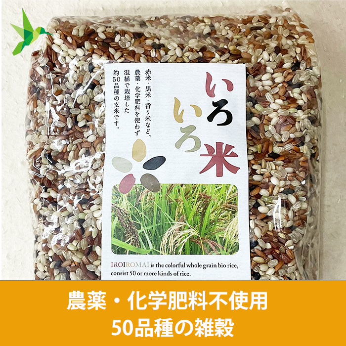 楽天市場】自然栽培米粉ハヤシルゥ、デミグラス【120g】無農薬 無肥料 無除草剤 自然栽培 米粉 : 自然栽培の専門店ハミングバード