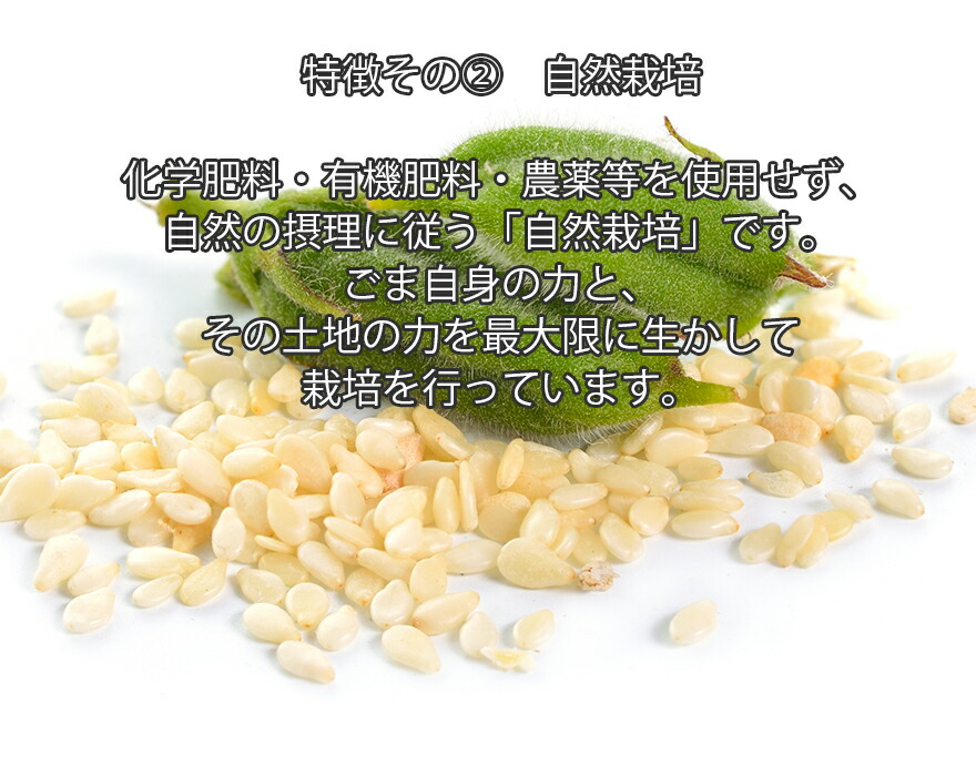 市場 3点セット 金ゴマ 無肥料 洗い 国産 無農薬 ごま 自然栽培 不使用 35g 肥料 農薬 〜 稀少 無施肥