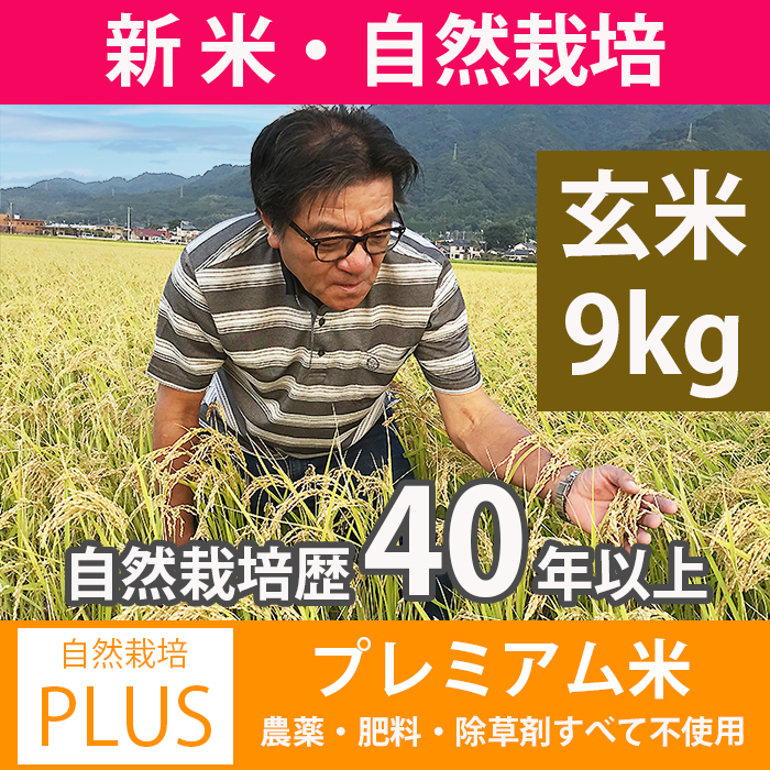 令和4年新米石川県産 コシヒカリ無農薬有機栽培のお米 コシヒカリ 玄米