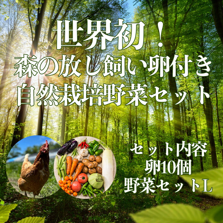 世界初 森の放し飼い卵付き 自然栽培 野菜 セットL サイズ 卵10個 + 野菜セット　 （三人家族の1週間相当量想定）　定期便　お試し　バージョン