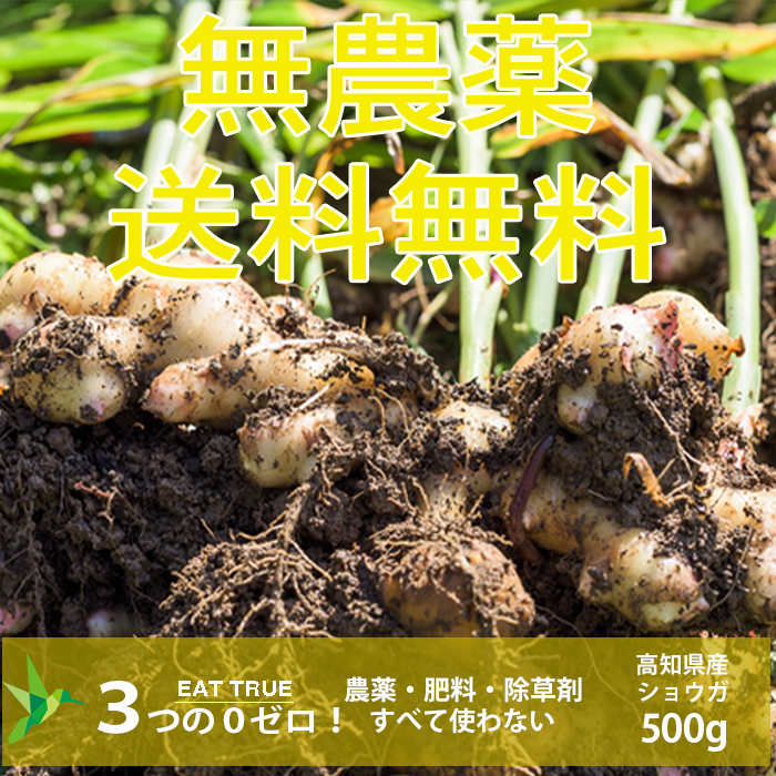 楽天市場】農薬ゼロ 肥料ゼロ 自然栽培のショウガ【 200g 】高知県産