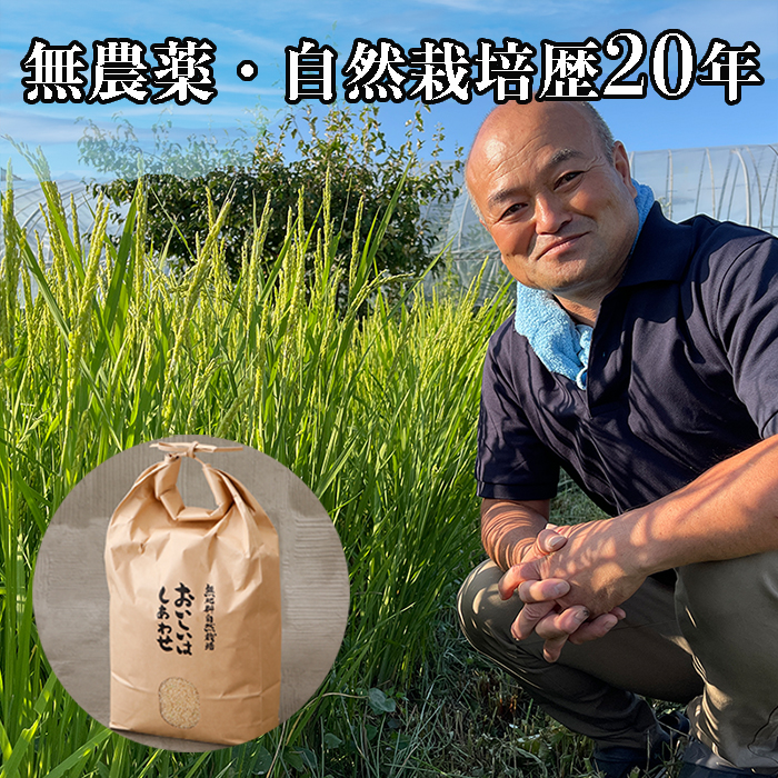 【楽天市場】【新米 予約 阿部 ササニシキ 玄米 20kg】令和6年 無農薬 米 自然栽培 備蓄米 令和6年 産 自然農法 ささにしき 無農薬米 一等  一等米 岩手県 産 送料無料 脱気フレッシュパック入り (@5kg×4袋) 農薬不使用 : 自然栽培の