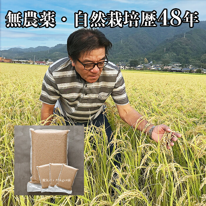 自然栽培の大粒米ダイヤ／農薬　栽培期間中不使用　玄米１０ｋｇ　「精米し発送」 ◇自然栽培米 令和6年度産【秋日和】白米/玄米＜コシヒカリ＞無