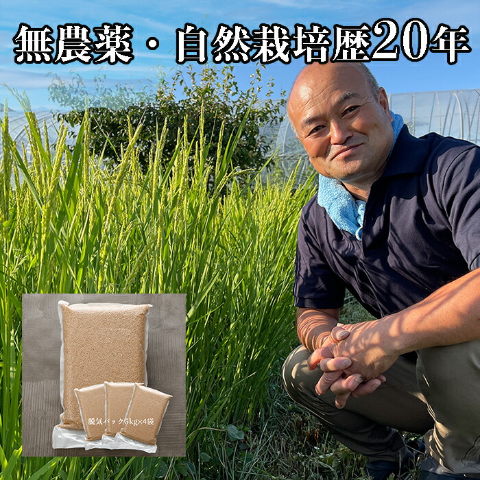 滝掛軸 宜稲 Y183