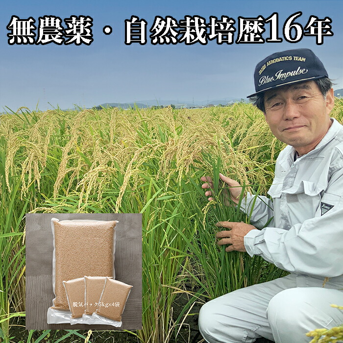 楽天市場】【予約 新米 太田 ササシグレ 玄米 20kg】令和7年 無