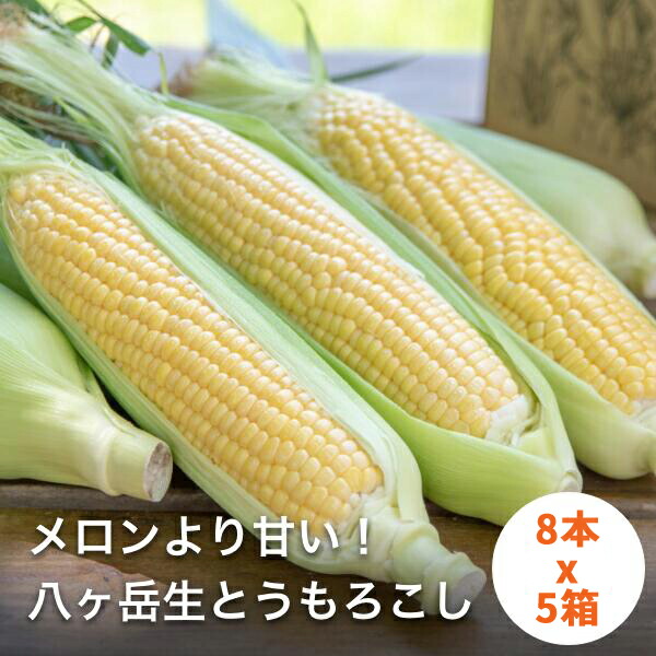 保存版 楽天市場 予約 お届けは7月中旬以降 糖度18度以上 鮮度が違う 朝採れ 元祖 メロンより甘い 八ヶ岳 生とうもろこし 40本入 5箱 送料無料 トウモロコシ ピクニックコーン 味来 本州 コーン スイートコーン キャンプ バーベキュー 贈答品 産地直送 お