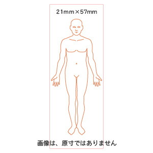 楽天市場 人体図 スタンプ 学校 医学 病院 カルテ 全身図 前向き 21mm 57mm スタンプ台不要 ハンコファクトリー