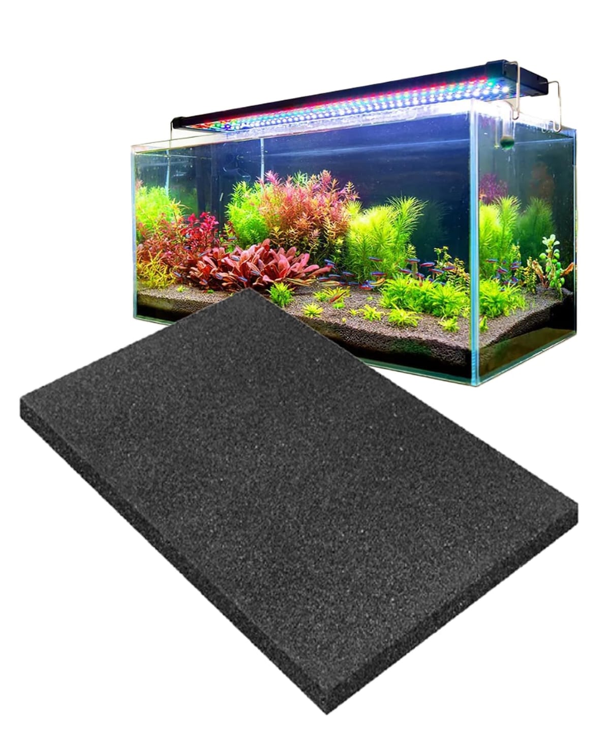 アクリル水槽 60センチ 4面ブラック スポンジフィルター付 アクリル水槽 60センチ 4面ブラック スポンジフィルター付 アクリル