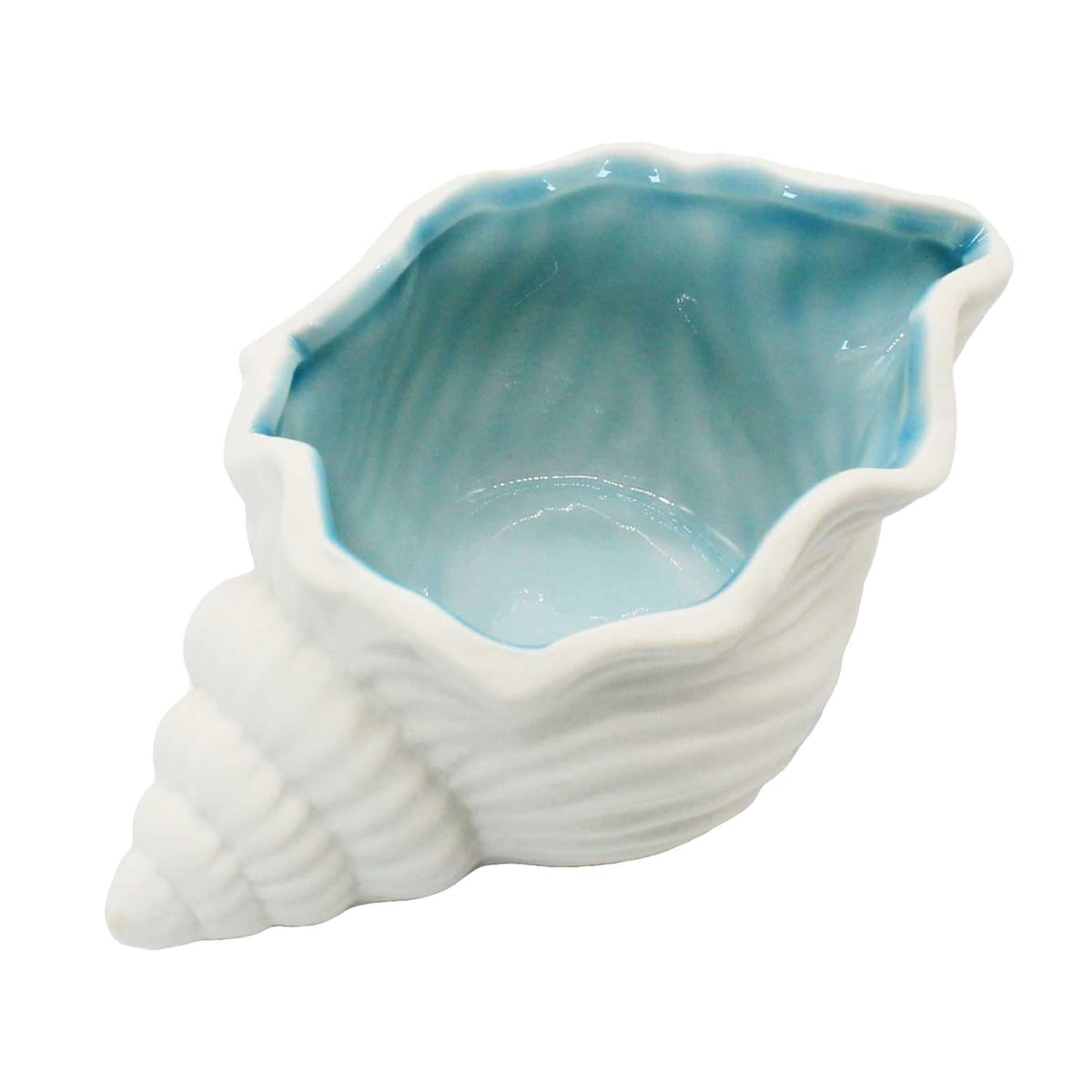 カワイイ大きい貝殻♡インテリア♡シェル♡ 楽天市場】貝 置物 オブジェ シェル ガラス製 おしゃれ かわいい