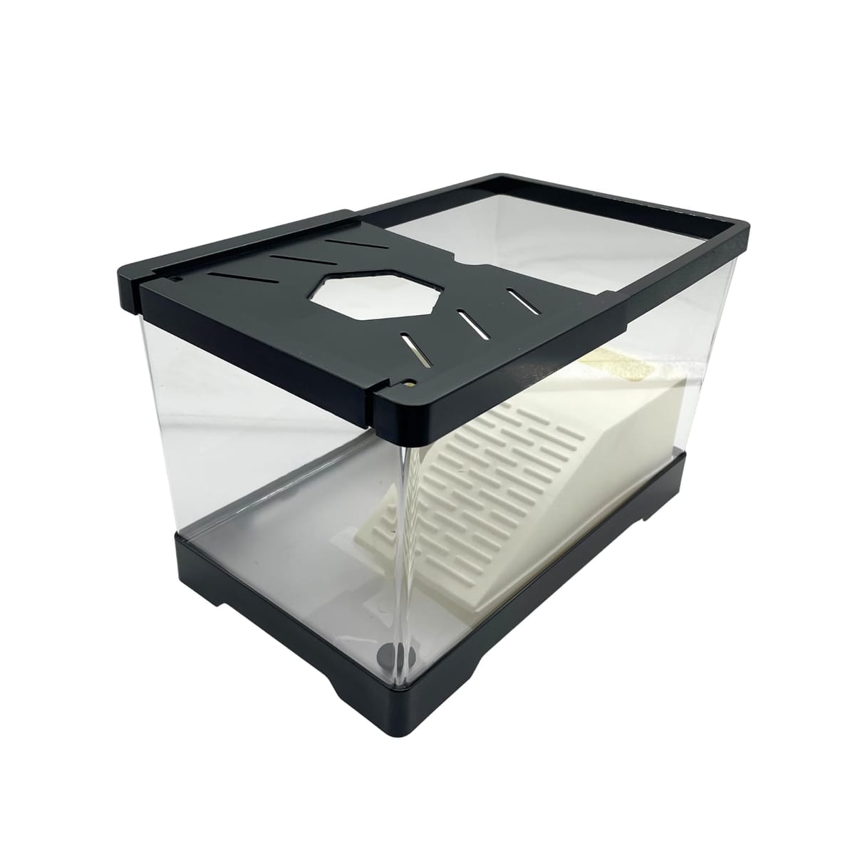 楽天市場】亀 水槽 飼育ケース ケージ 高台 蓋付き アクリル製