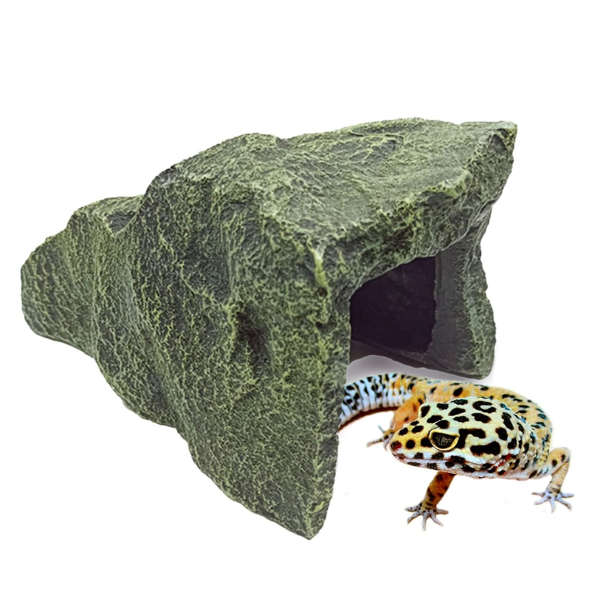 楽天市場】【送料無料】Archnote 爬虫類 シェルター レオパ トカゲ