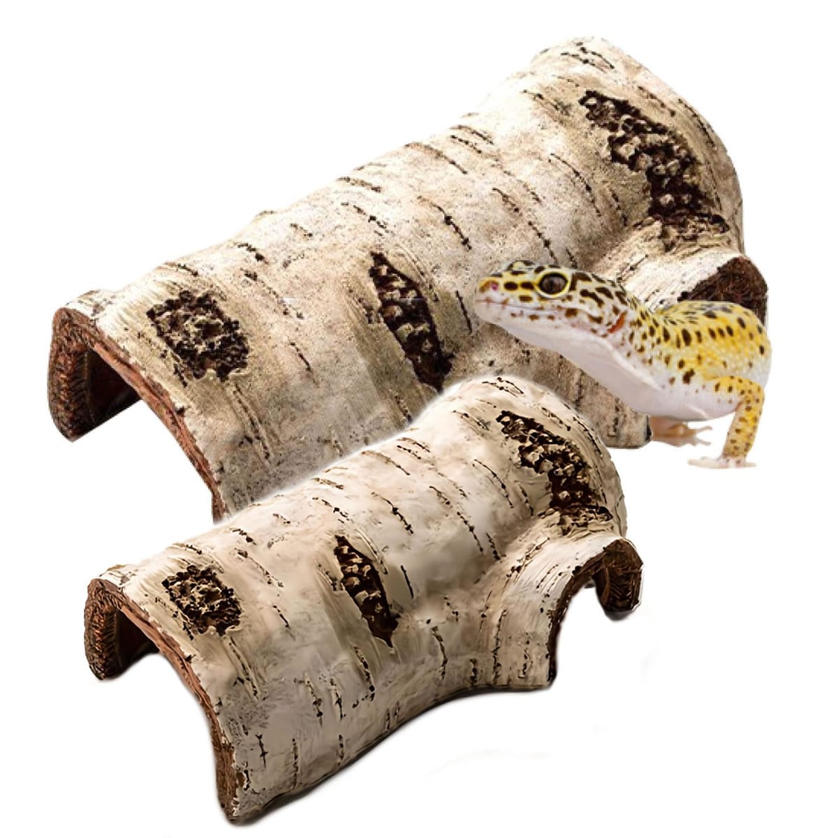 楽天市場】Archnote 爬虫類 シェルター レオパ トカゲ カナヘビ ヤモリ