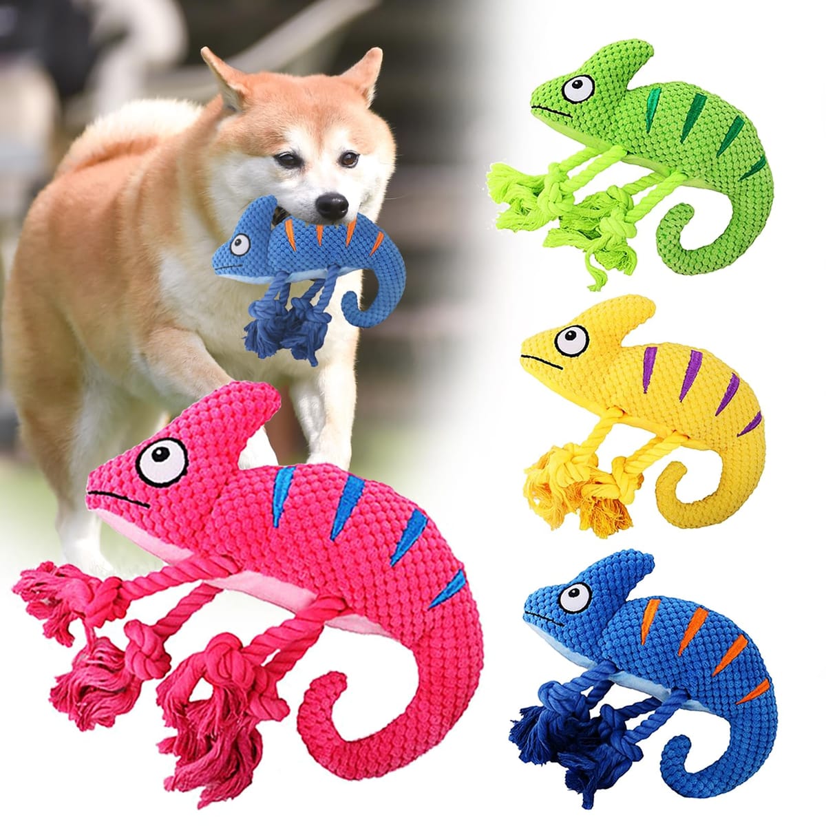 楽天市場】【獣医師×AEAJ認定アロマセラピストと共同開発】犬 猫