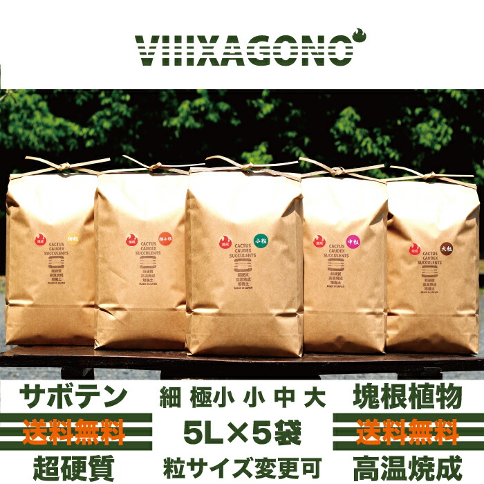 送無 Viiixagono 超硬質焼成培養土 5l 5袋 粒サイズ変更可能 細粒 極小粒 小粒 中粒 大粒 サボテン 多肉植物 コーデックス アガベ Kanal9tv Com