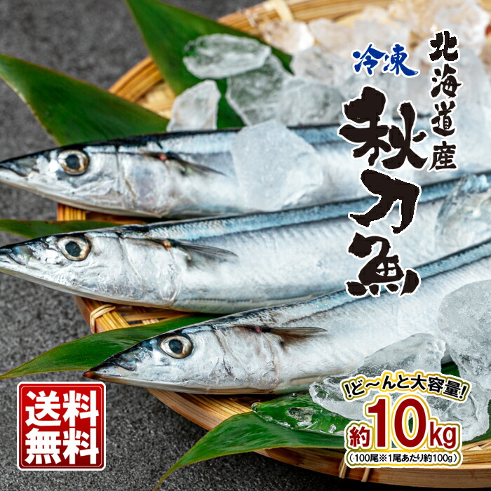 業務用 北海道産 冷凍さんま 10kg（※100g前後の秋刀魚が100尾） 送料無料<br>さんま 秋刀魚 サンマ 冷凍 1業務用 エサ 釣り お歳暮 クリスマス 贈答 グルメ<br>