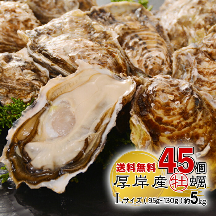 北海道産殻付き牡蠣【30個】 殻付かき 30個入・LLサイズ（北海道 厚岸産）｜【北海道ぎょれん