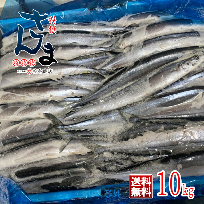 楽天市場 筒切り 冷凍さんま 1kg 丸繁商店 気仙沼 三陸 秋刀魚 サンマ お取り寄せ おかず お取り寄せ グルメ 気仙沼さん