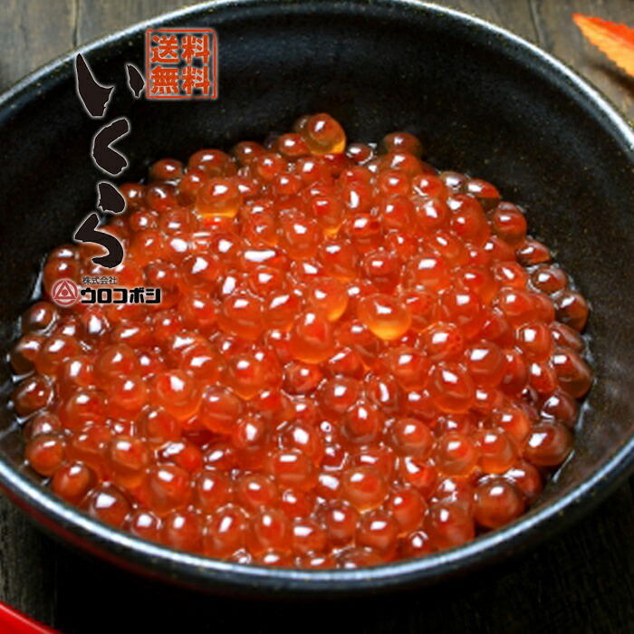 楽天市場 ウロコボシ 業務用 極上の鱒イクラ 500g 250g 2 凍 送料無料 いくら 醤油漬け 箱なしパック 北海道 物産展 釧路市 味付 正油 しょうゆ ふるさとの味 魚卵 海鮮丼 海産物 訳あり 小分け プレゼント メッセージカード コロナ 在庫処分 鮭 サーモン