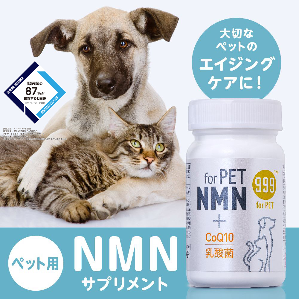 Premium NMN 20000