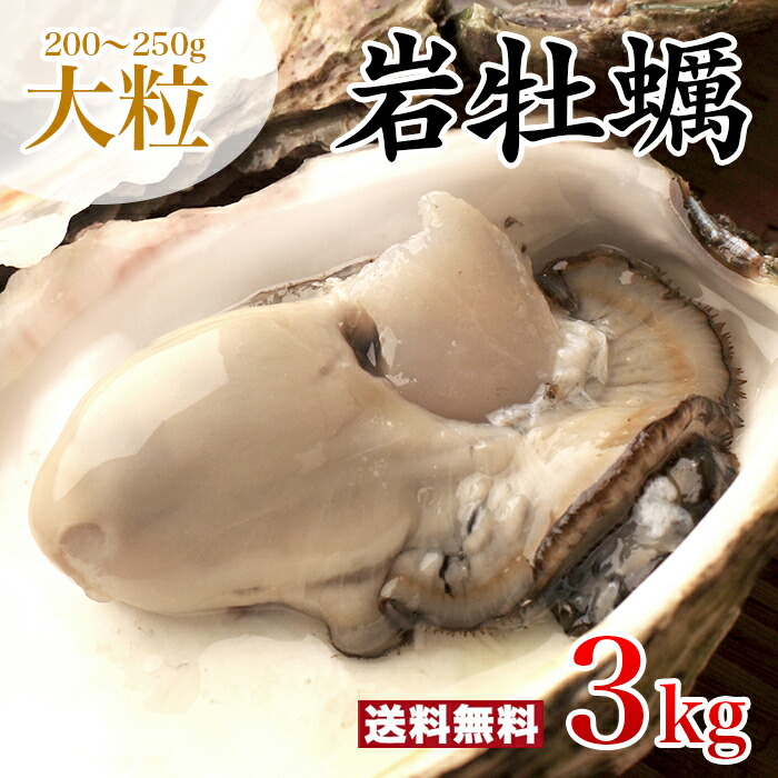 楽天市場】こぶし大！大粒 1個200～250g 殻付き岩牡蠣(生食用