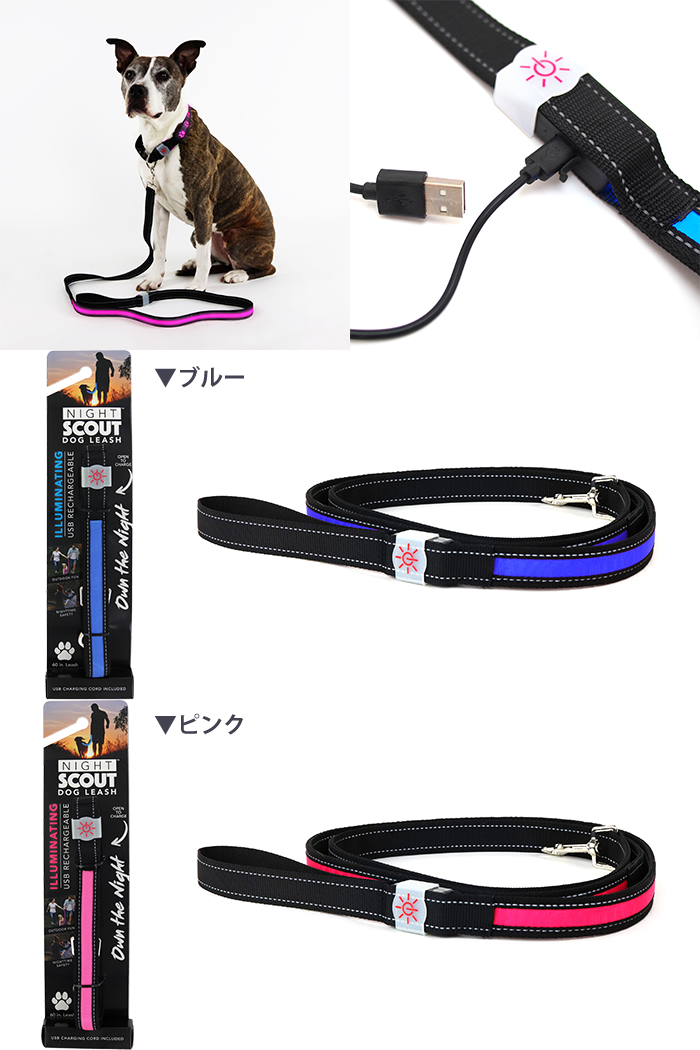 楽天市場 Led 光るリード 150cm 充電用usbケーブル付き 全2色 小型犬 中型犬 大型犬 Ledリード 犬用 リード ドッグリーシュ 鎖 犬 リード ピンク ブルー Night Scout アクアベース