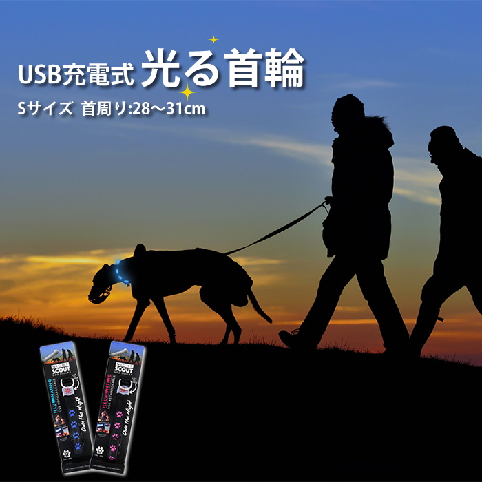 楽天市場 Led 光る首輪 Sサイズ 首周り 28 31cm 充電用usbケーブル付き 全2色 小型犬 散歩 夜 さんぽ ひかる ペット 安全 光る首輪 充電式 犬 光る首輪 Dog Collar アクアベース