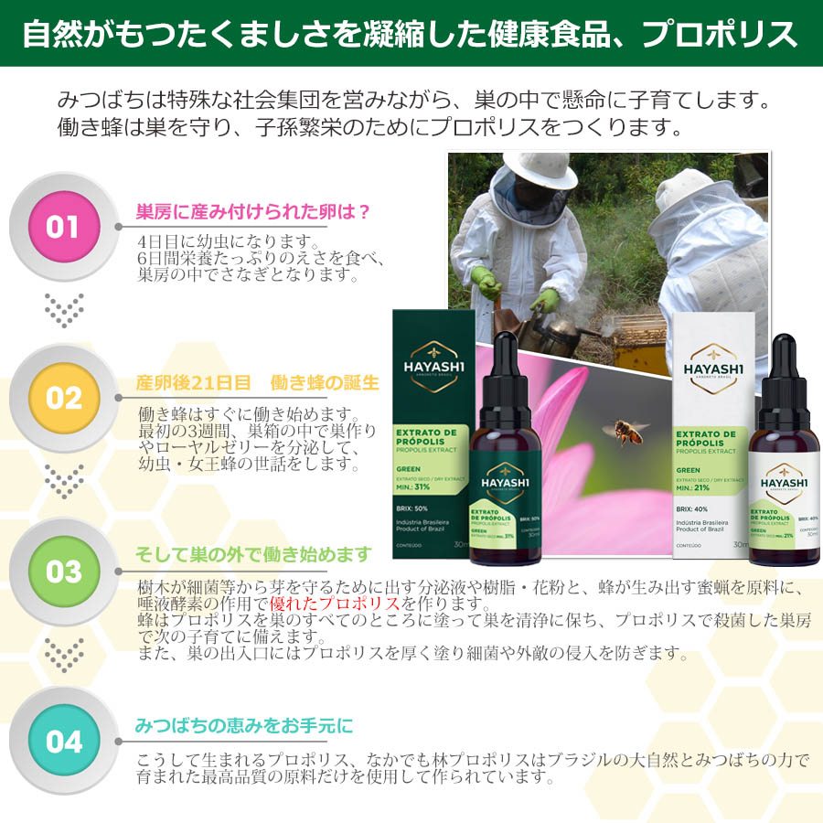 林プロポリス エクストラ 10本セット サプリ 健康食品 プロポリス 高