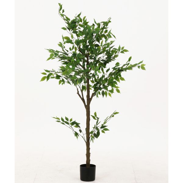フェイクグリーン フィカス 約160cm ジョイント（ﾒｰｶｰ名:不二貿易） インテリア 家具 観葉植物