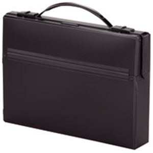 LIHITLAB ダレスバッグ A-660-24 A4 黒【×2セット】 【 セット販売 まとめ買い 割引 オフィス 文房具 文具 業務用 オフィス用品 】 文具 オフィス用品 ファイル クリアケース クリアファイル