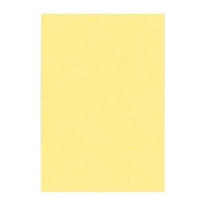 文運堂 ニューカラーR 八ツ切 横271×縦392mm 8NCR-101 クリーム 100枚入 【×2セット】 【 セット販売 まとめ買い 割引 オフィス 文房具 文具 業務用 オフィス用品 】 文具 オフィス用品 ノート 紙製品 画用紙