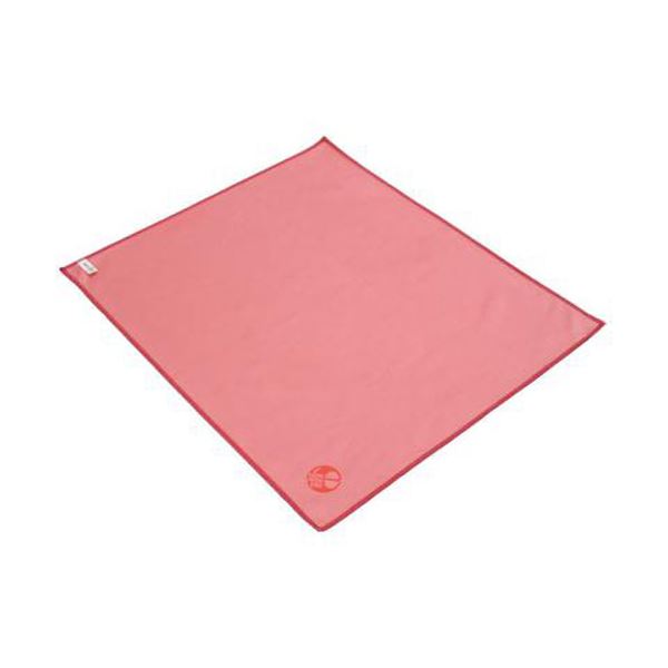 エツミ ミクロディアエピクロスLL レッド E-5242【×2セット】 【 セット販売 まとめ買い 割引 】 カメラ デジタル　PC