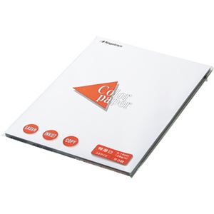 長門屋商店 Color Paper A4 特厚口 白 ナ-3401V 1冊（100枚） 【×5セット】 【 セット販売 まとめ買い 割引 オフィス 文房具 文具 業務用 オフィス用品 】