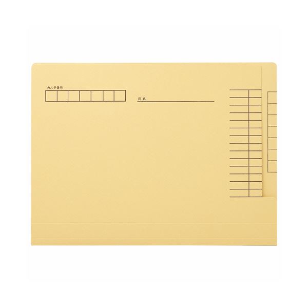 LION ライオン事務器 カルテフォルダーペーパータイプ A4 KF-1K-50P 1パック（50冊） 文具 オフィス用品 ファイル クリアケース クリアファイル
