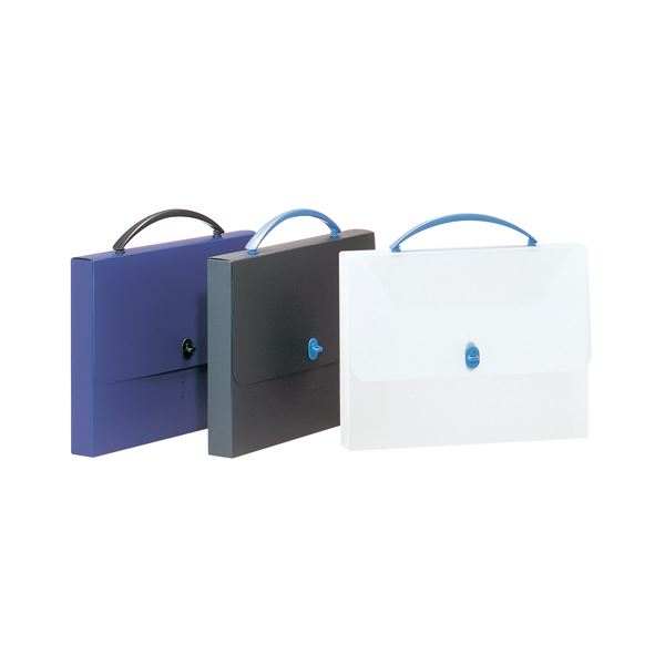 LION ライオン事務器 デザインケース A4ブラック DS-253 1個 【×10セット】 【 セット販売 まとめ買い 割引 オフィス 文房具 文具 業務用 オフィス用品 】 文具 オフィス用品 製図用品 図面ケース ファイル