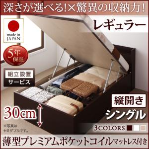 【組立設置ｻｰﾋﾞｽ付 跳ね上げ式ベッド 】 収納家具 収納ベッド 大容量 薄型プレミアムポケットコイルマットレス付き ポケットコイル 【縦開き】 シングルベッド 【深さ:レギュラー】 【縦開き】 シングル 収納ベッド 木製ベッド