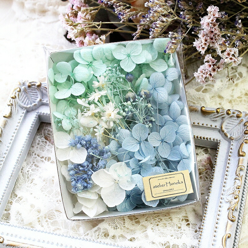 パレス化学 ファンタジー 100ｍｌ ブラック 1520220 生花用資材 切花着色剤