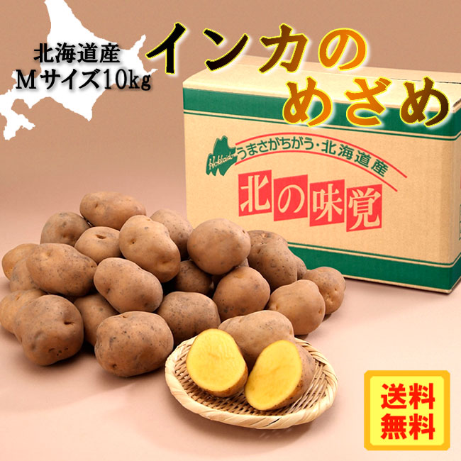 楽天市場 お取り寄せグルメ インカのめざめ10kg 0000 じゃがいも ジャガイモ 北海道産 北海道直送品 送料無料 のし対応可 ギフト 贈物 熊人楽天市場店