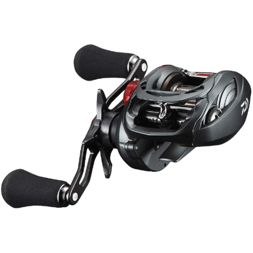 最新人気 Daiwa ダイワ キャタリナtw 100shl リール ベイトフライ 5375 100 の保証 Secretoftheislands Com